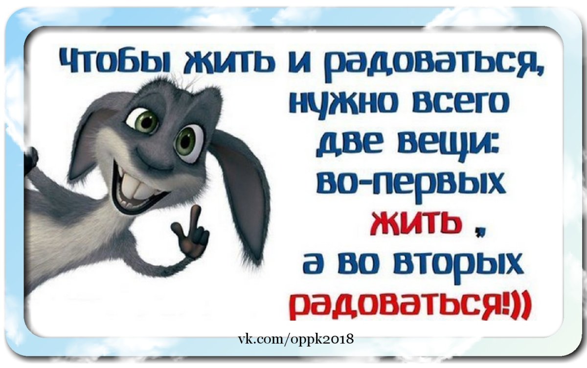 Мотивирующие цитаты с юмором