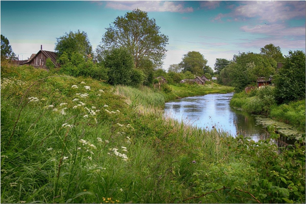 Природа лето деревня