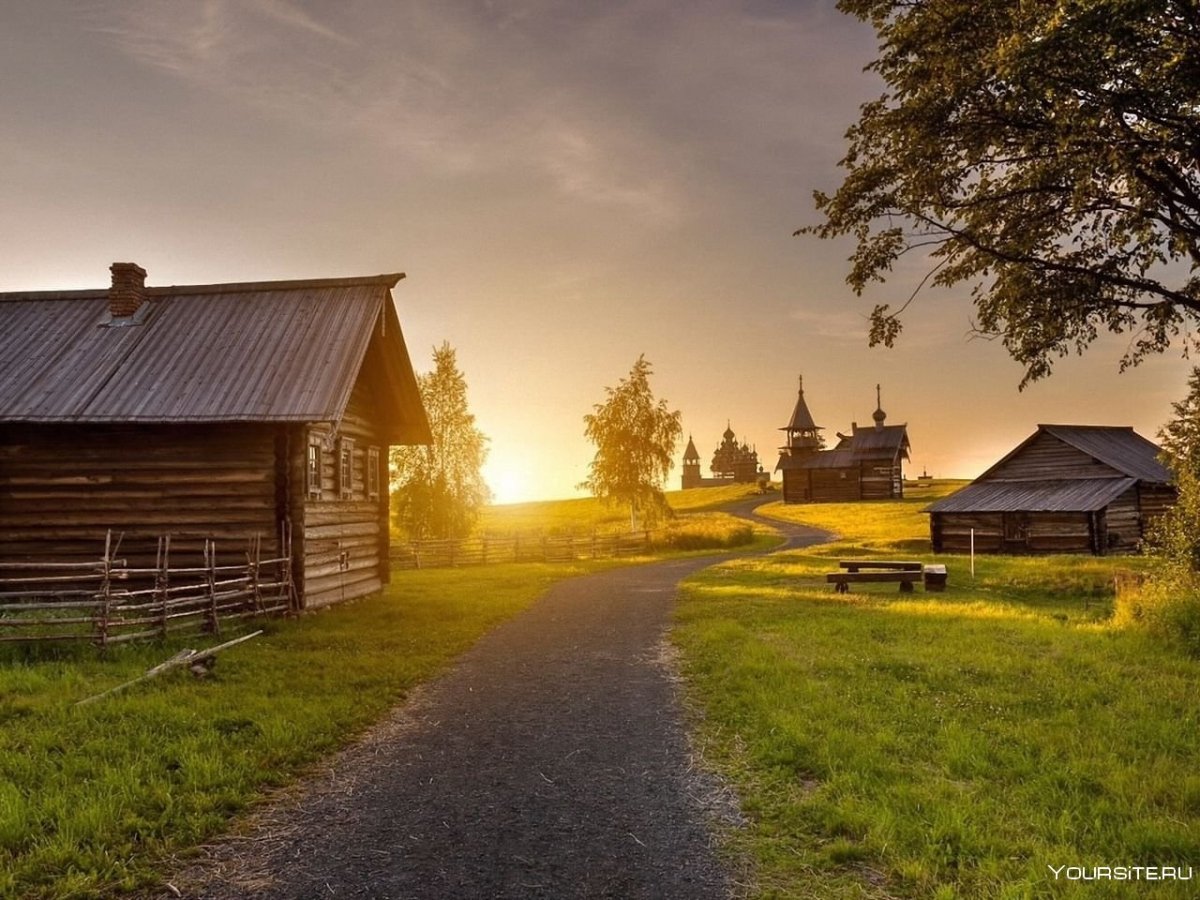 Ижора деревня природа