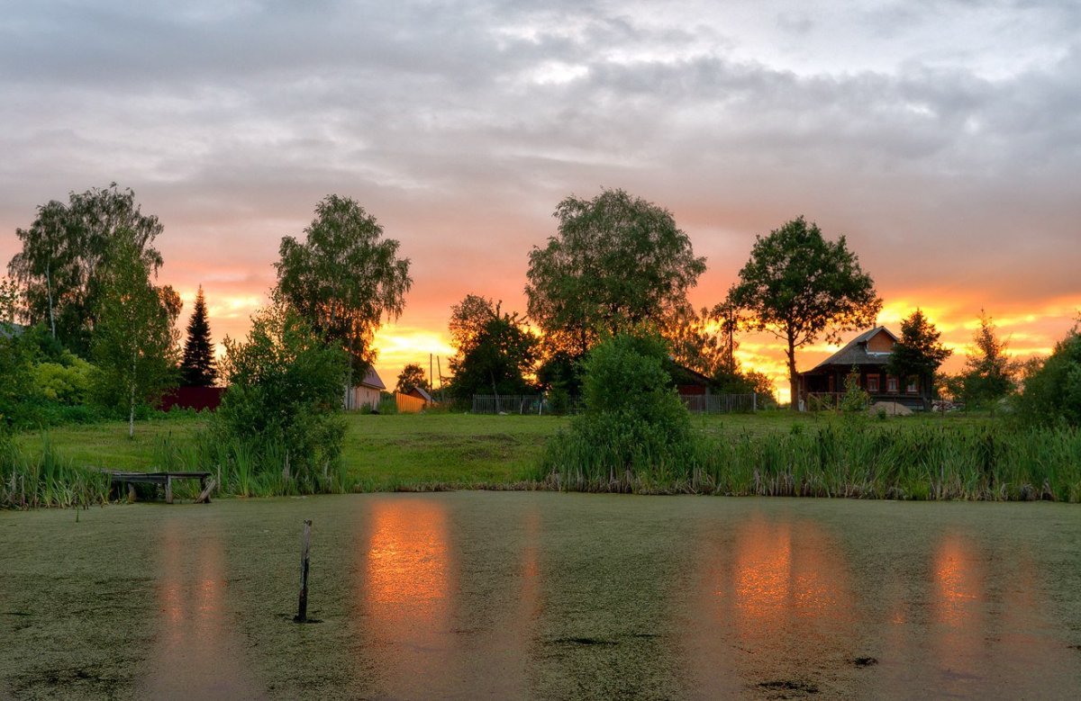 Лето вечер деревня Моша