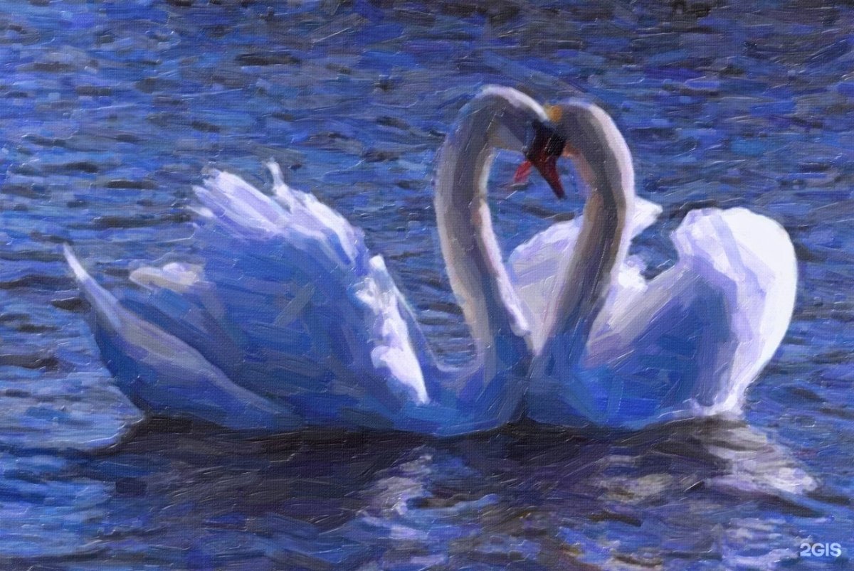 Два лебедя