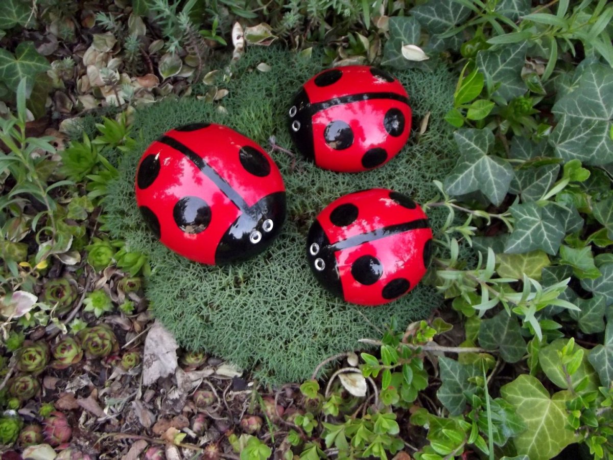 Божья коровка из каски