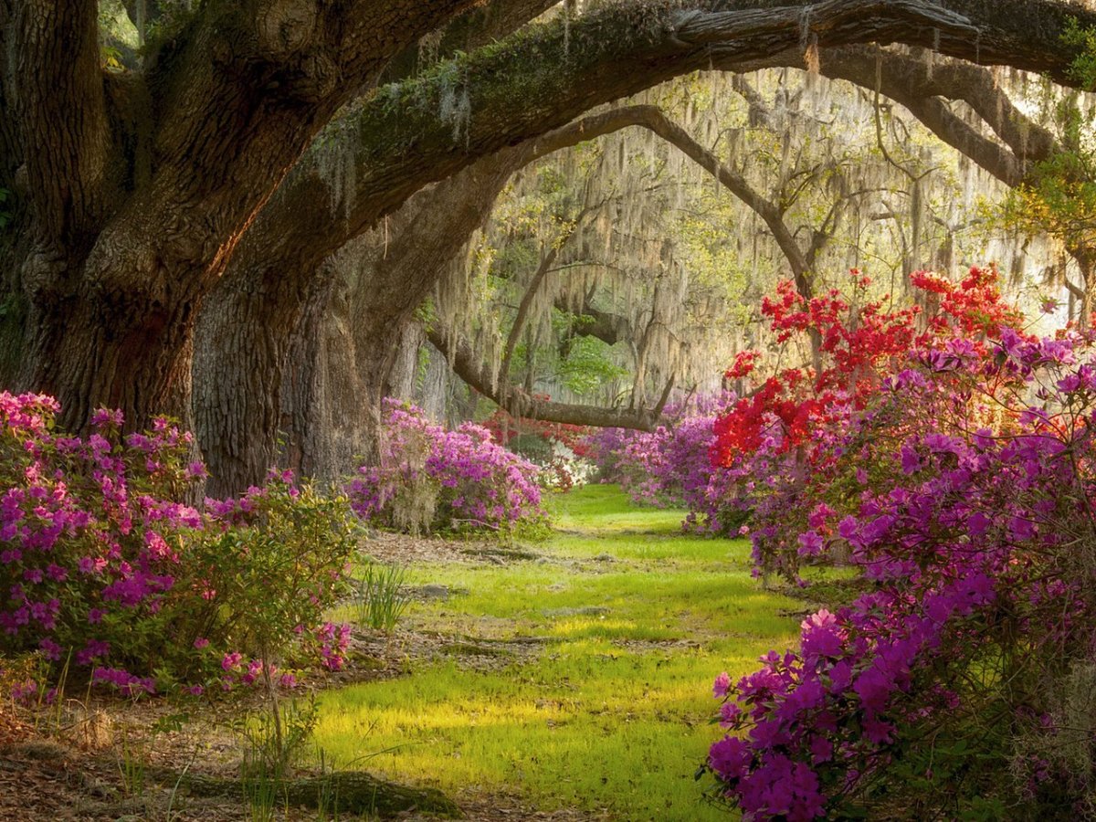 Эдемский сад