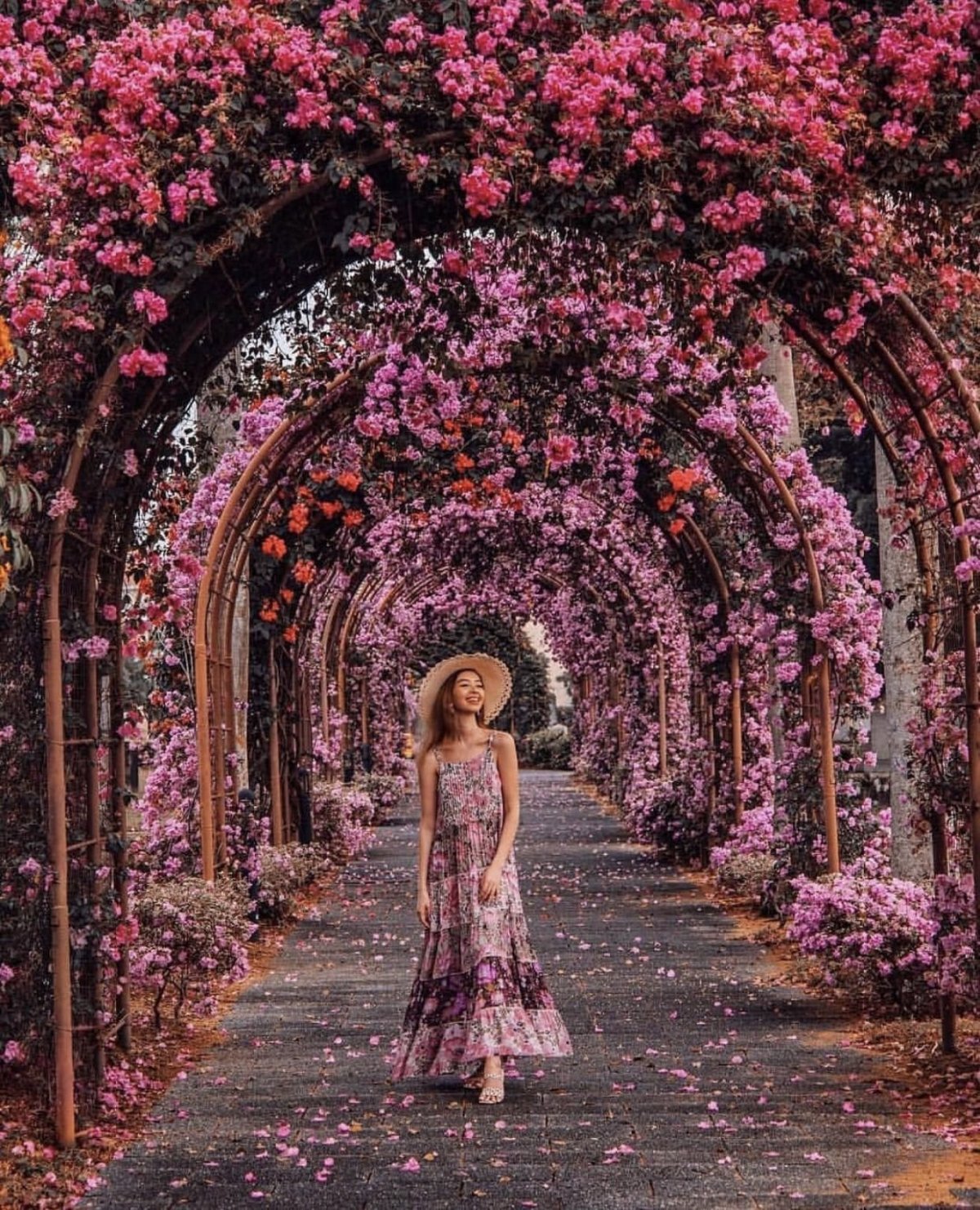 Сад с цветами