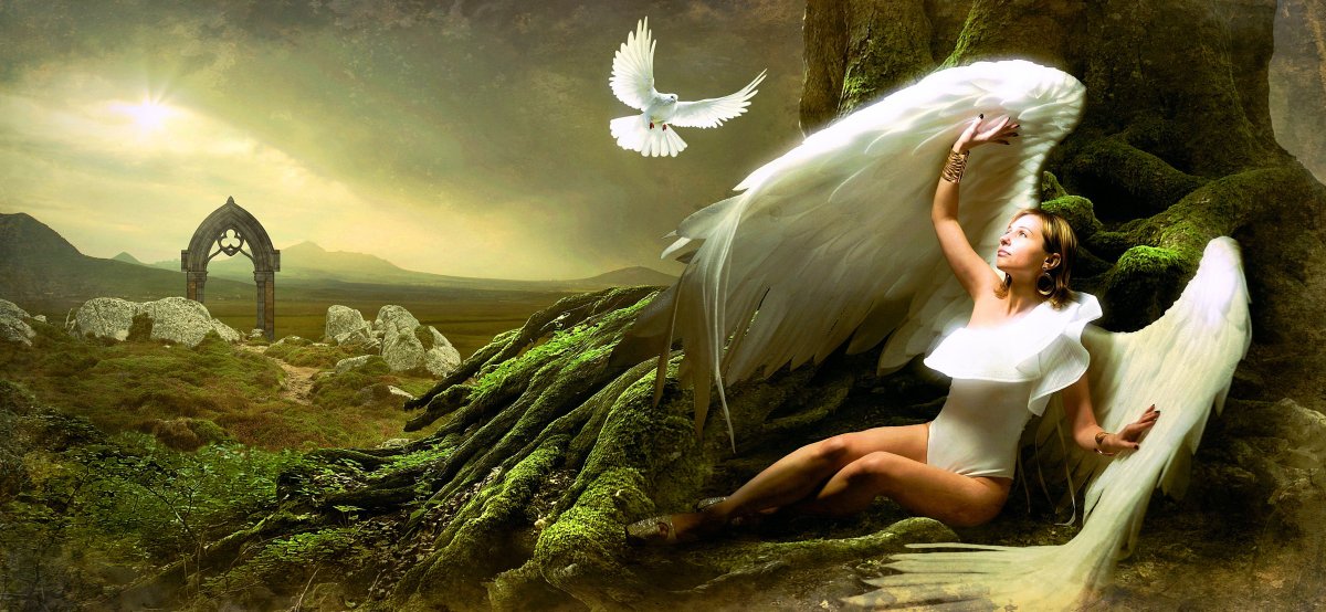 Силуэт девушки с крыльями