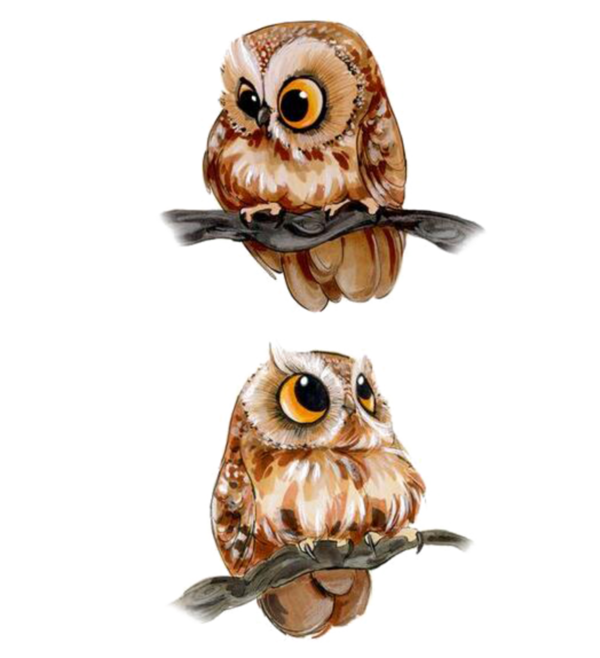 Совенок на белом фоне