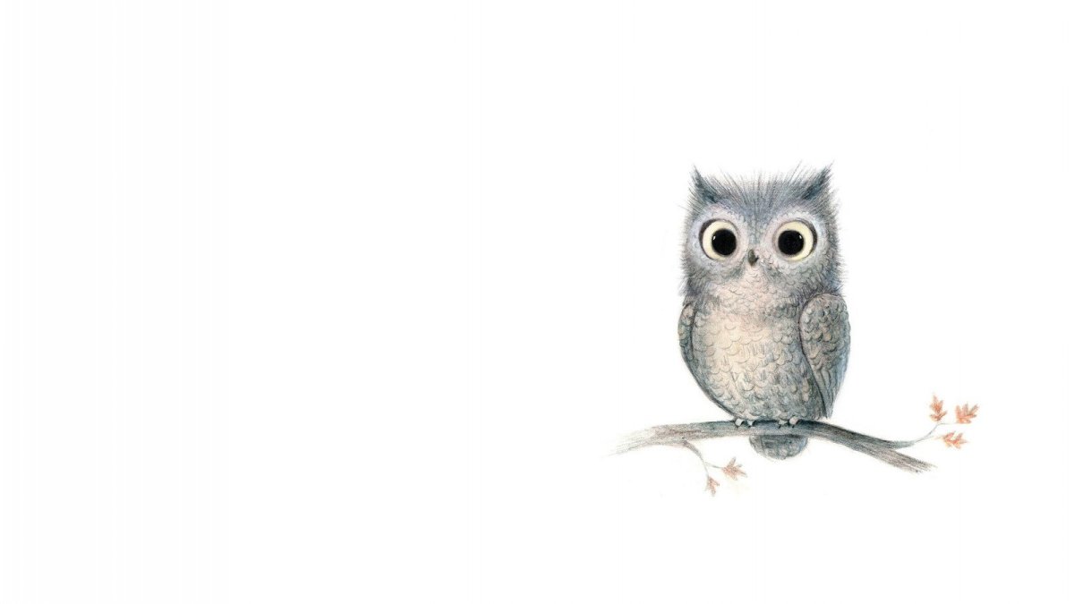 Совушка на белом фоне