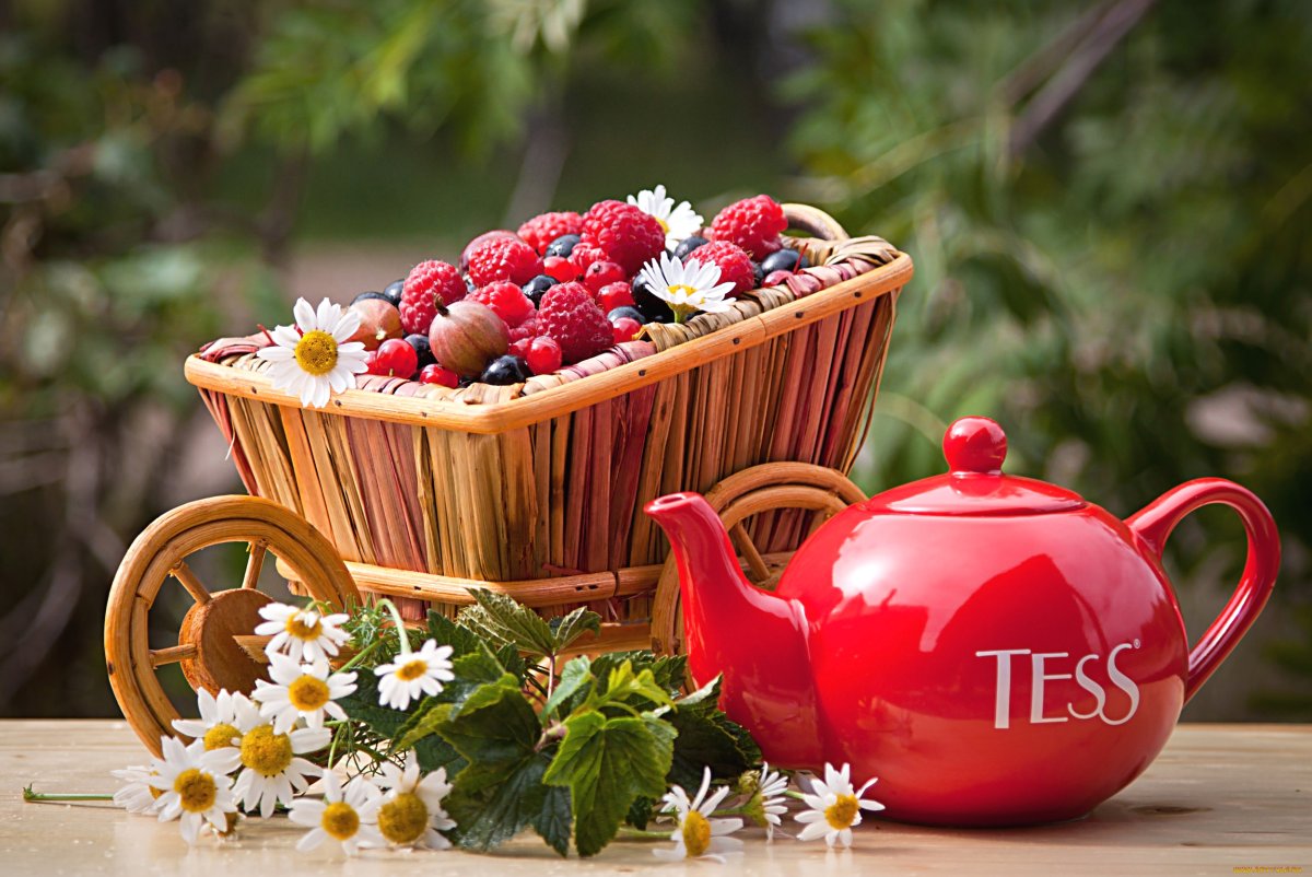 Августовское чаепитие