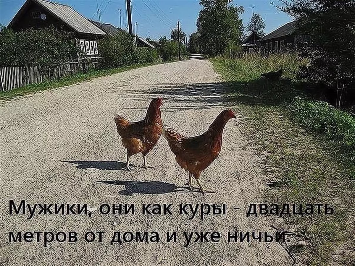 Упоротый Гусь