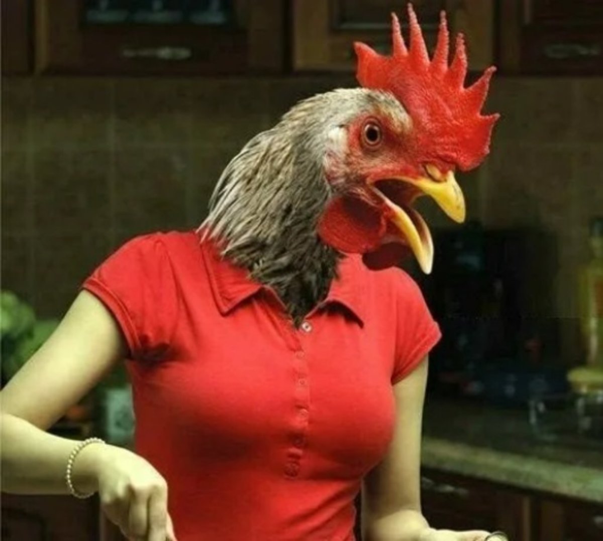 Тупая курица