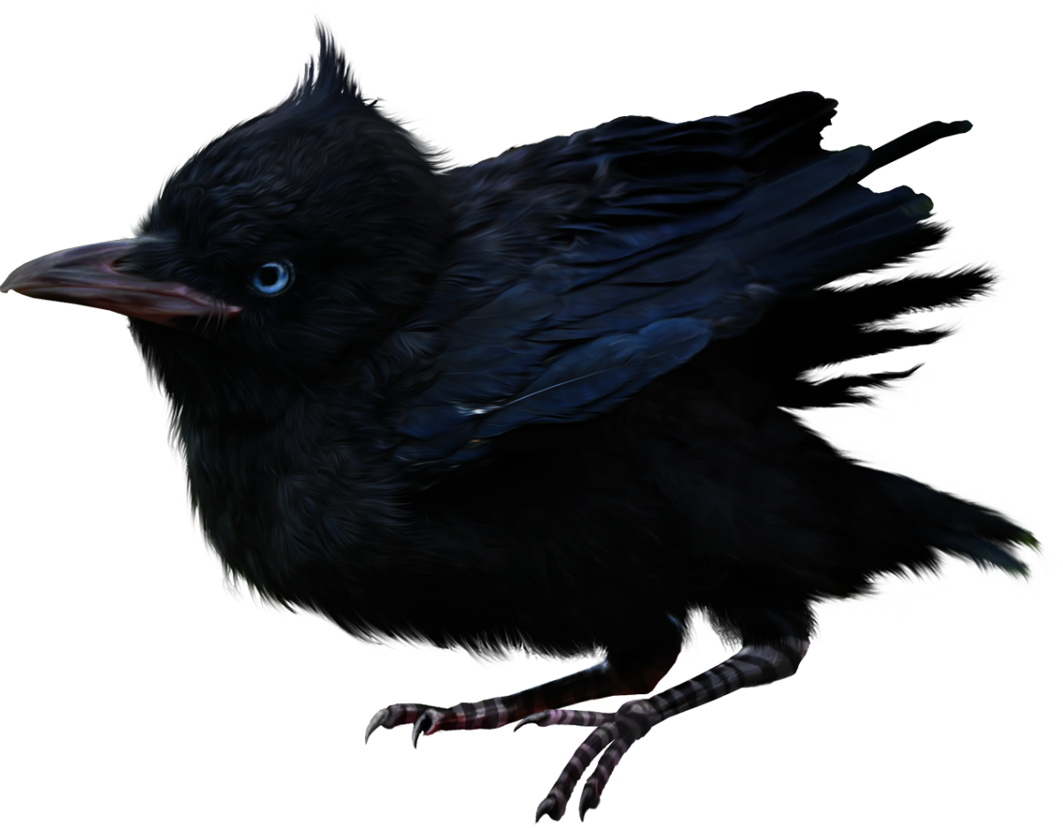 Мультипликационная ворона