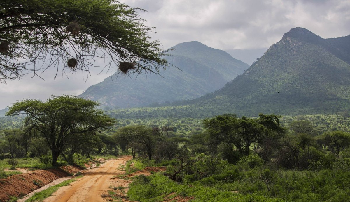 Национальный парк цаво Кения