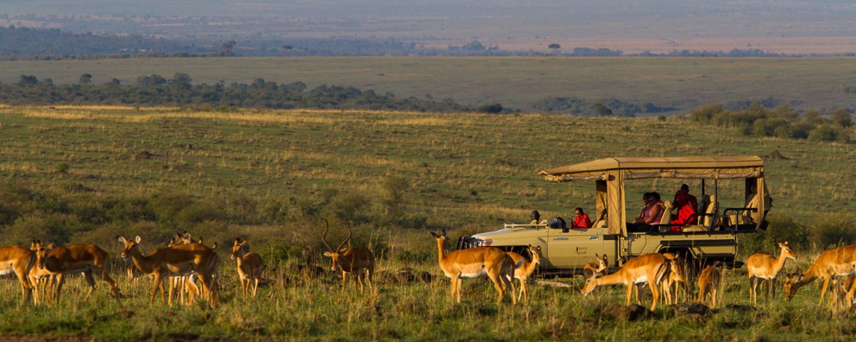 Ландшафт Масаи Мара