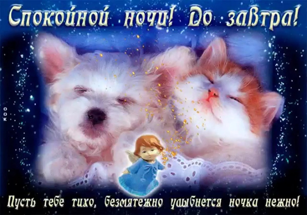 Спать пора спокойной ночи