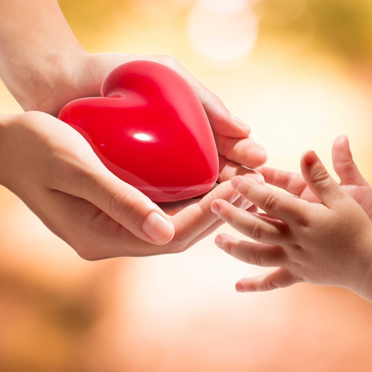 Сердце благотворительность