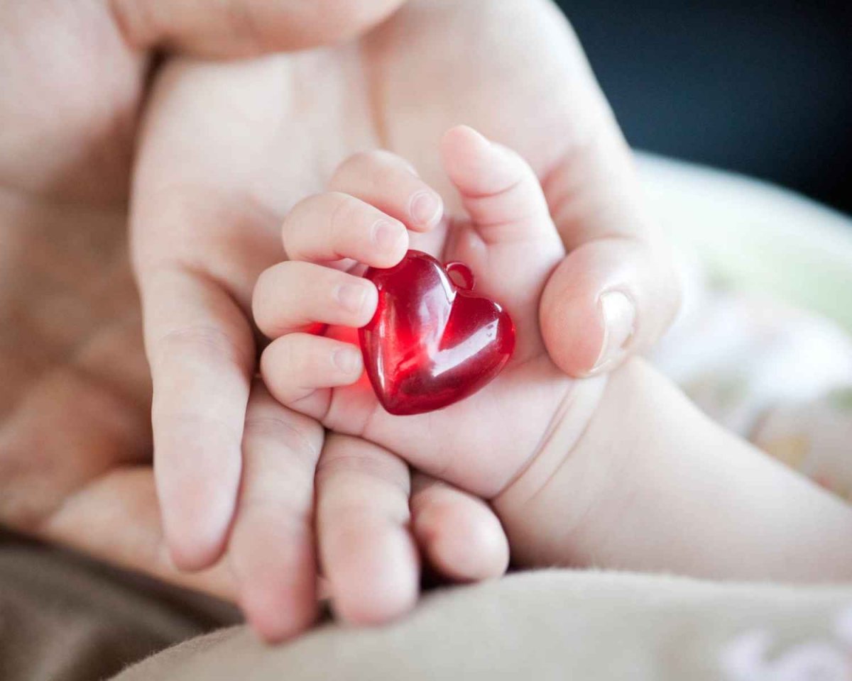 Руки мамы папы и ребенка