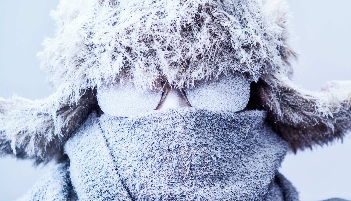 Холод карикатура