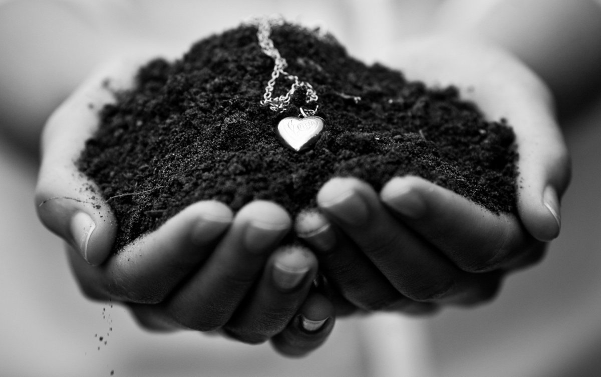 Сердце в руках