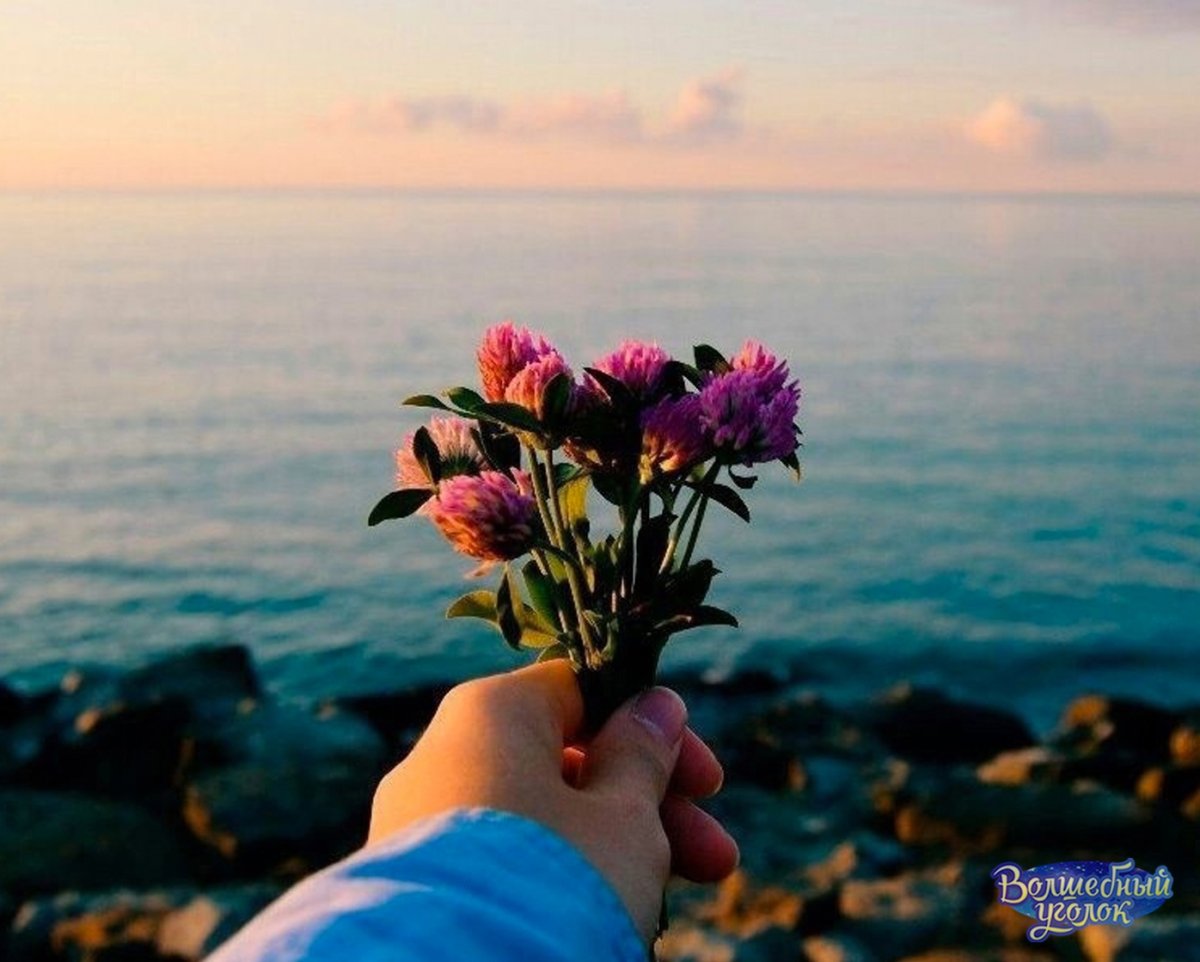 Красивые фразы