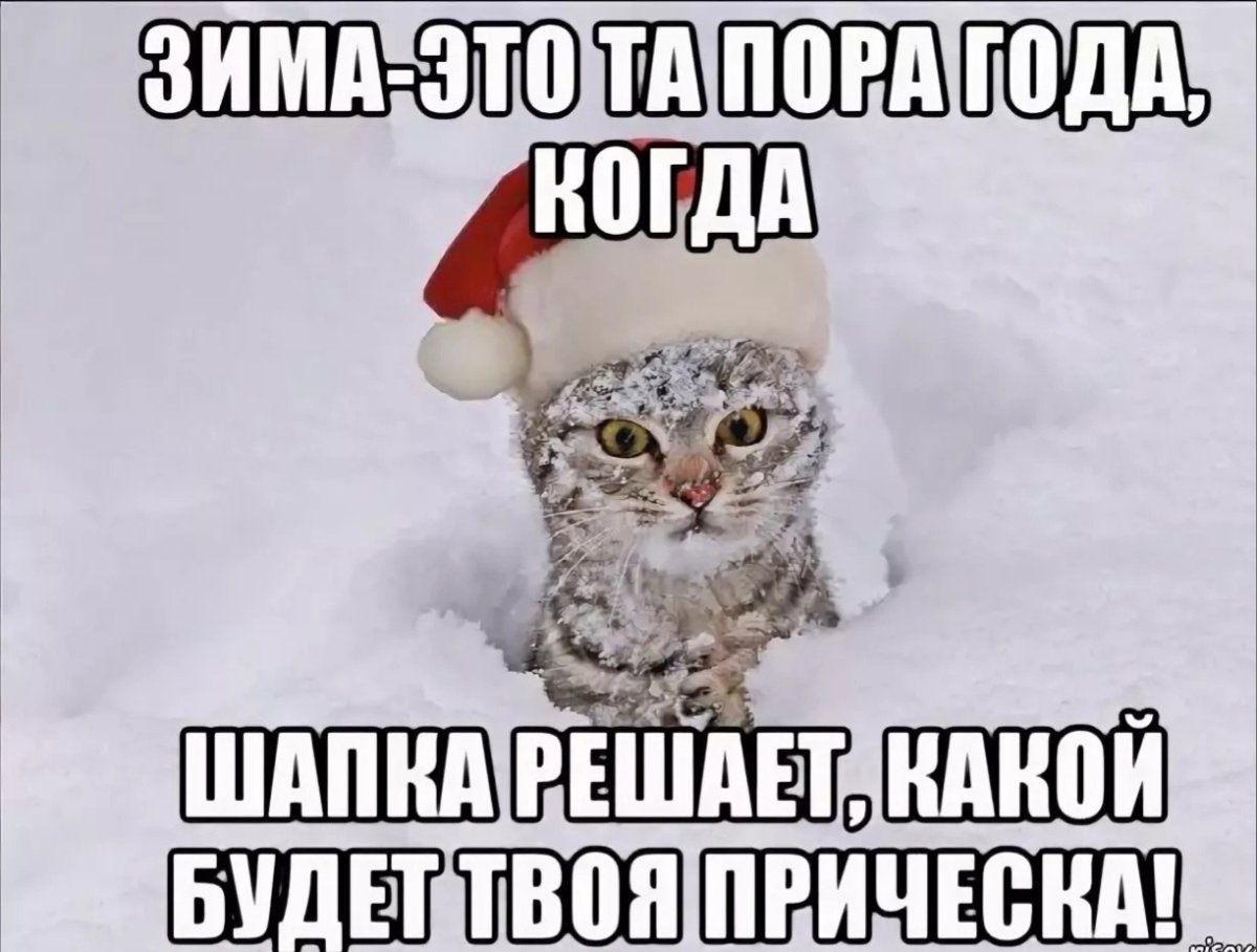 Смешные мемы про зиму