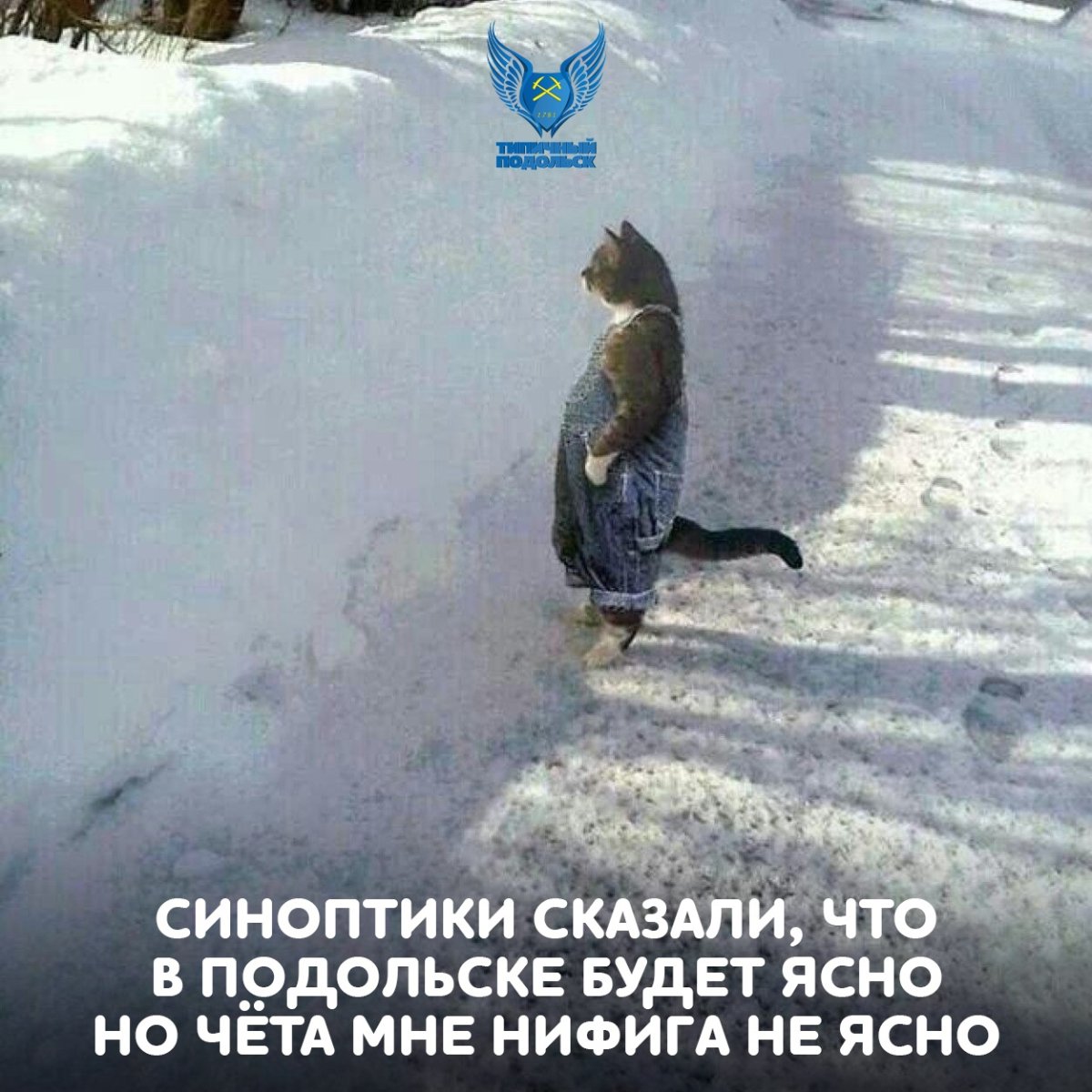 Смешные надписи на снегу