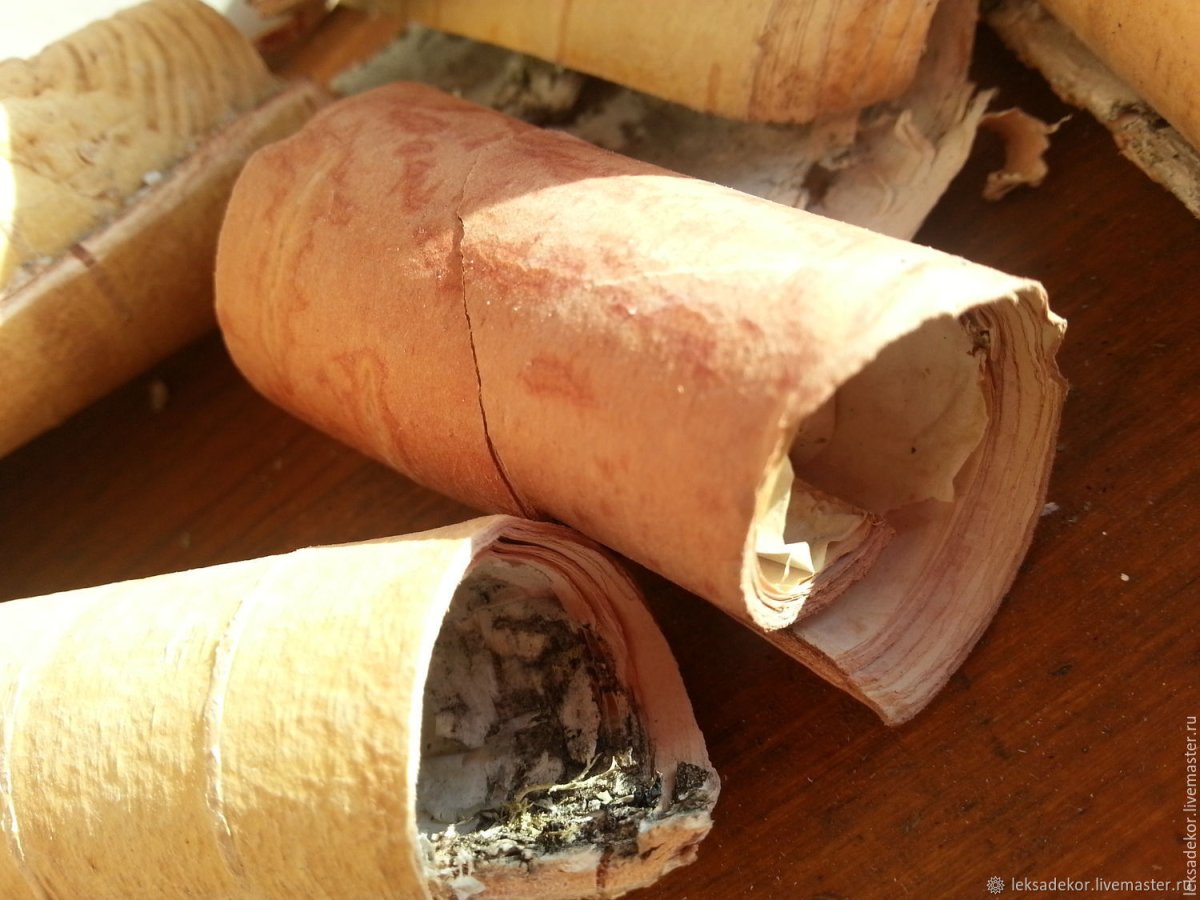 Трубочка из бересты