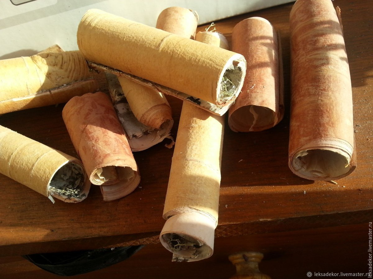 Трубочка из бересты