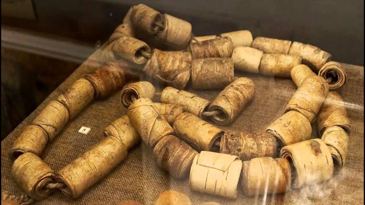 Береста кора березы