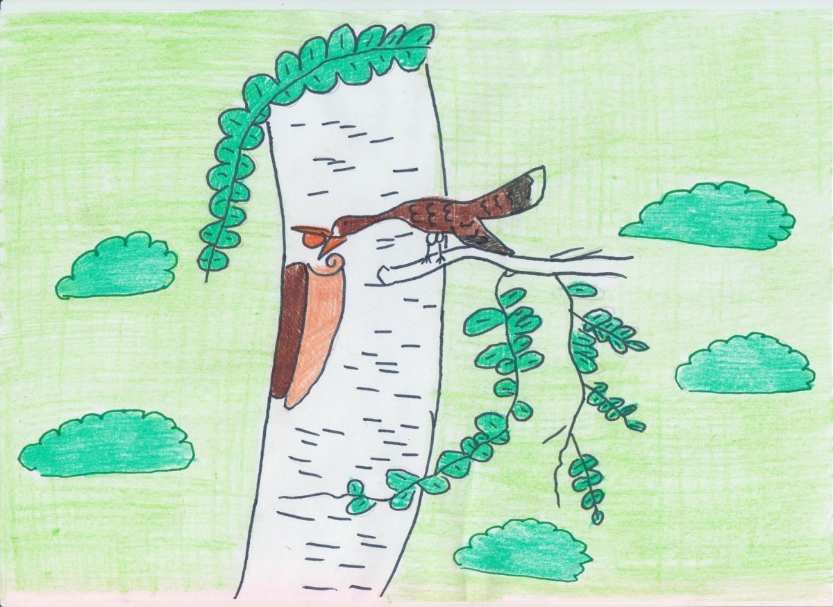 Пришвин берестяная трубочка иллюстрации