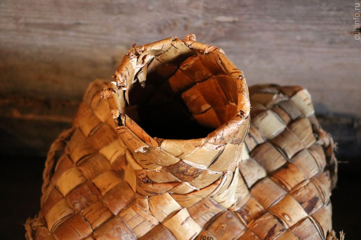 Ствол березы