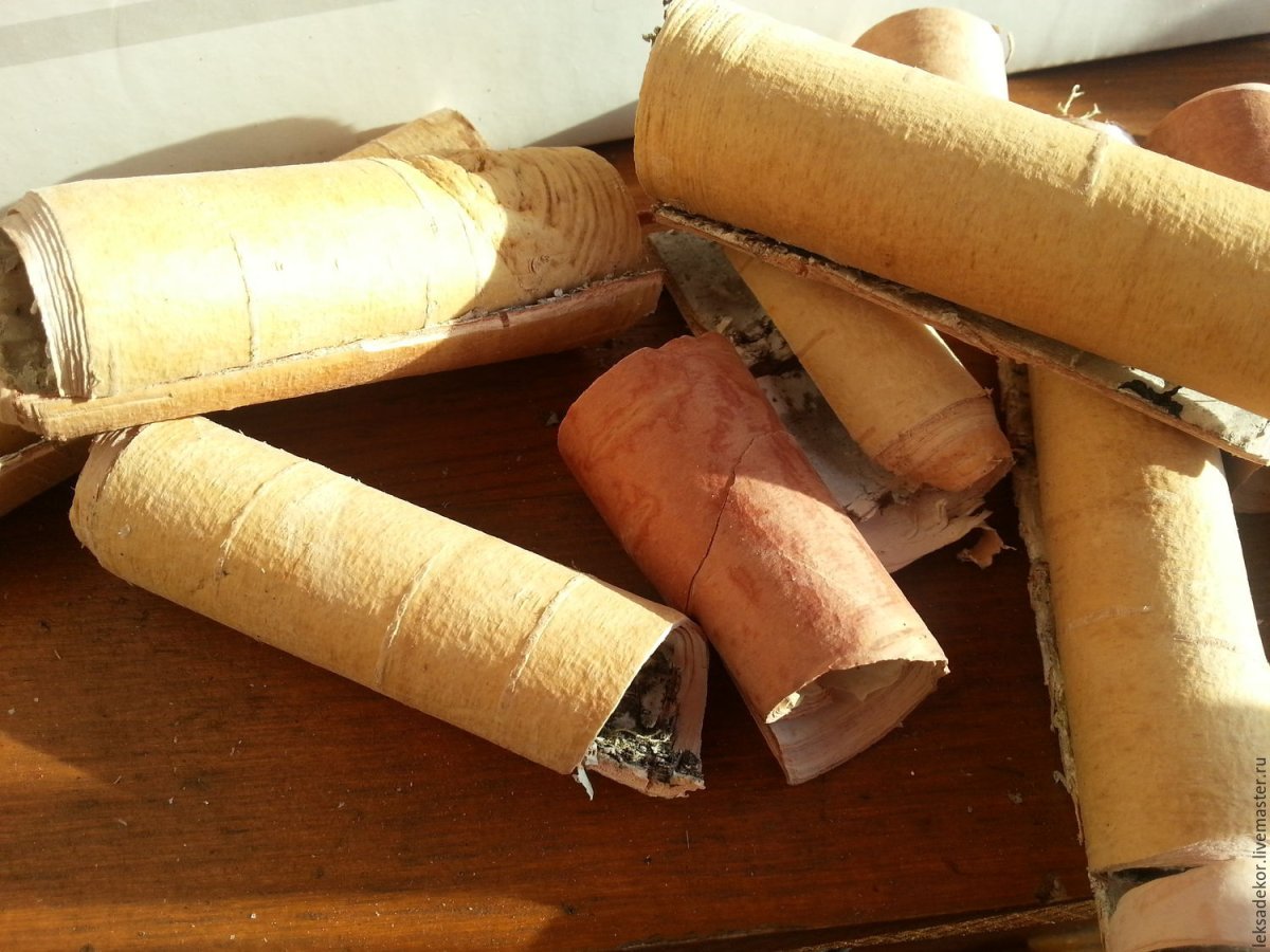 Рулон бересты