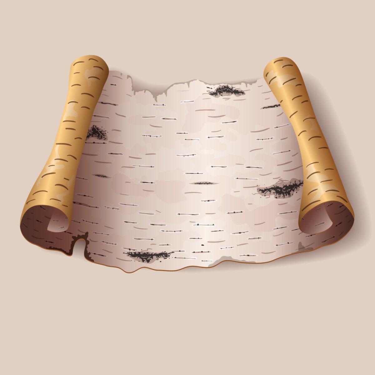 Береста кора березы