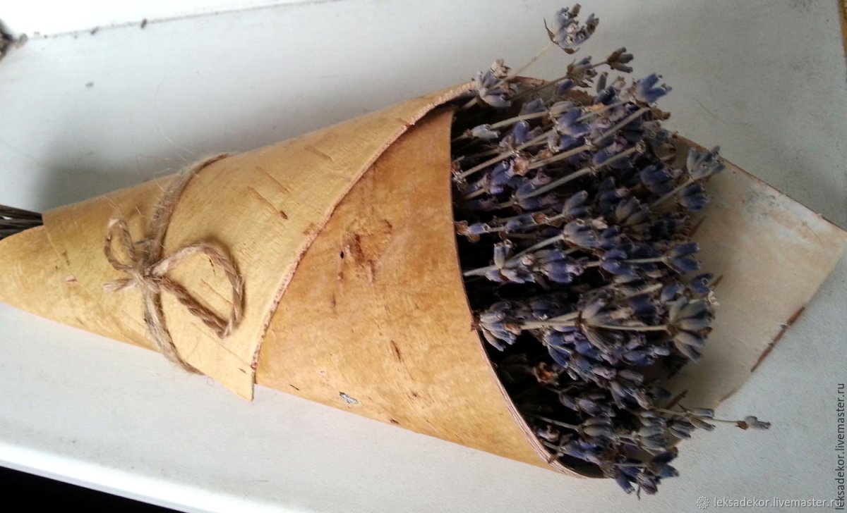 Береста кора березы