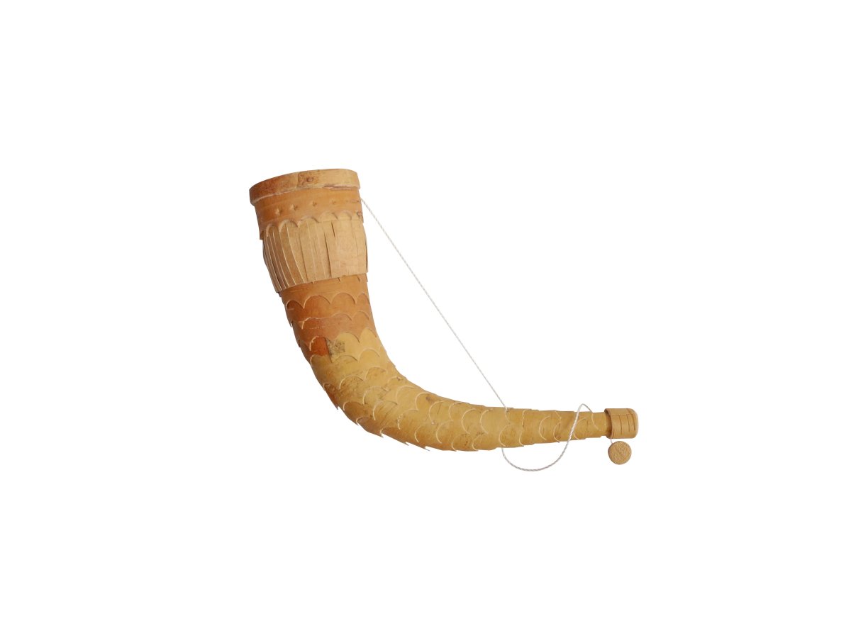 Берестяная кора