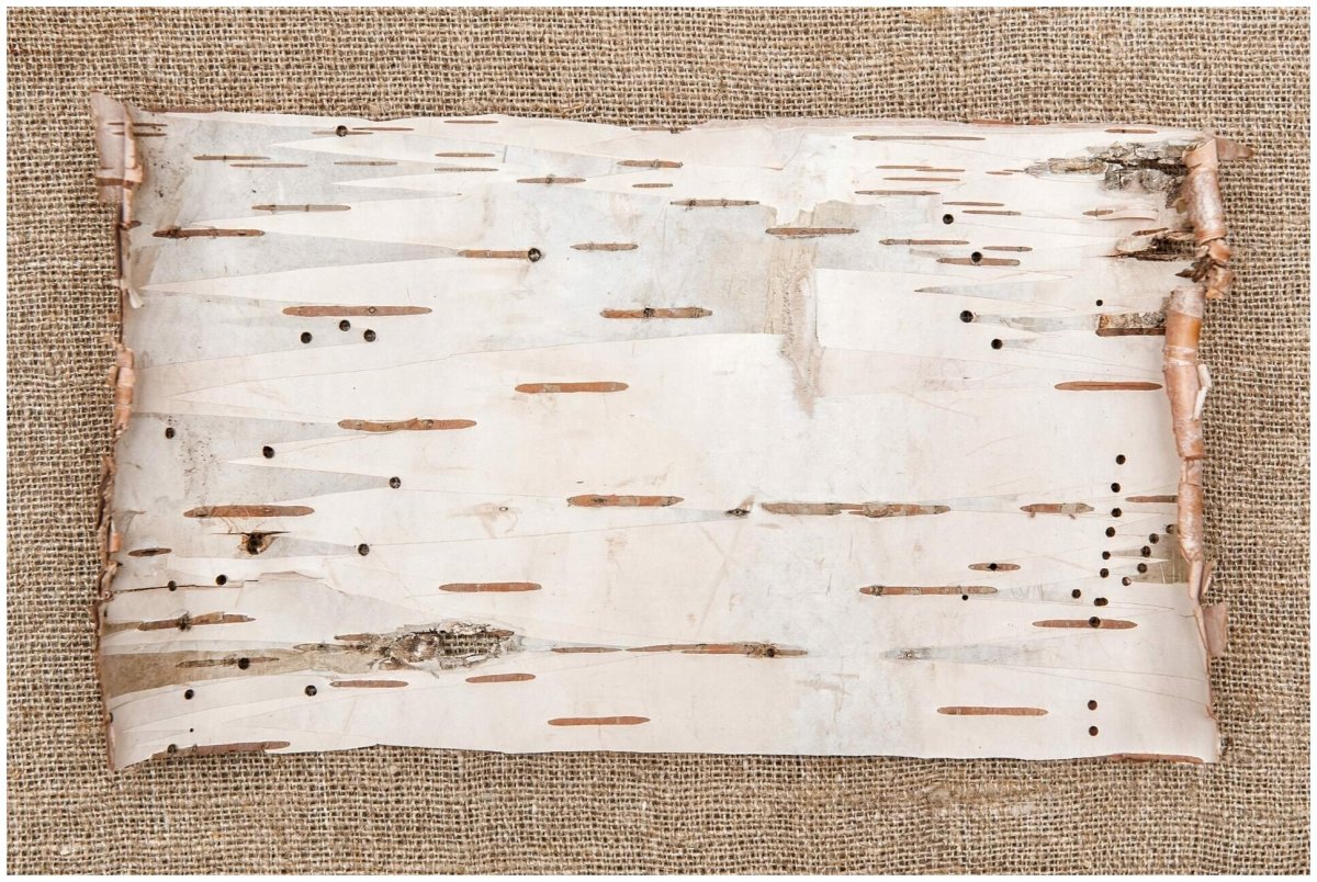 Дудочка раскраска для детей