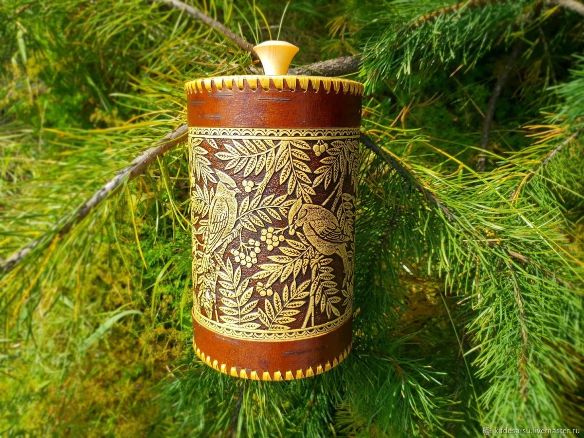 Кора березы на белом фоне