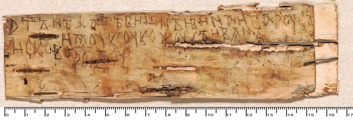 Береста кора березы