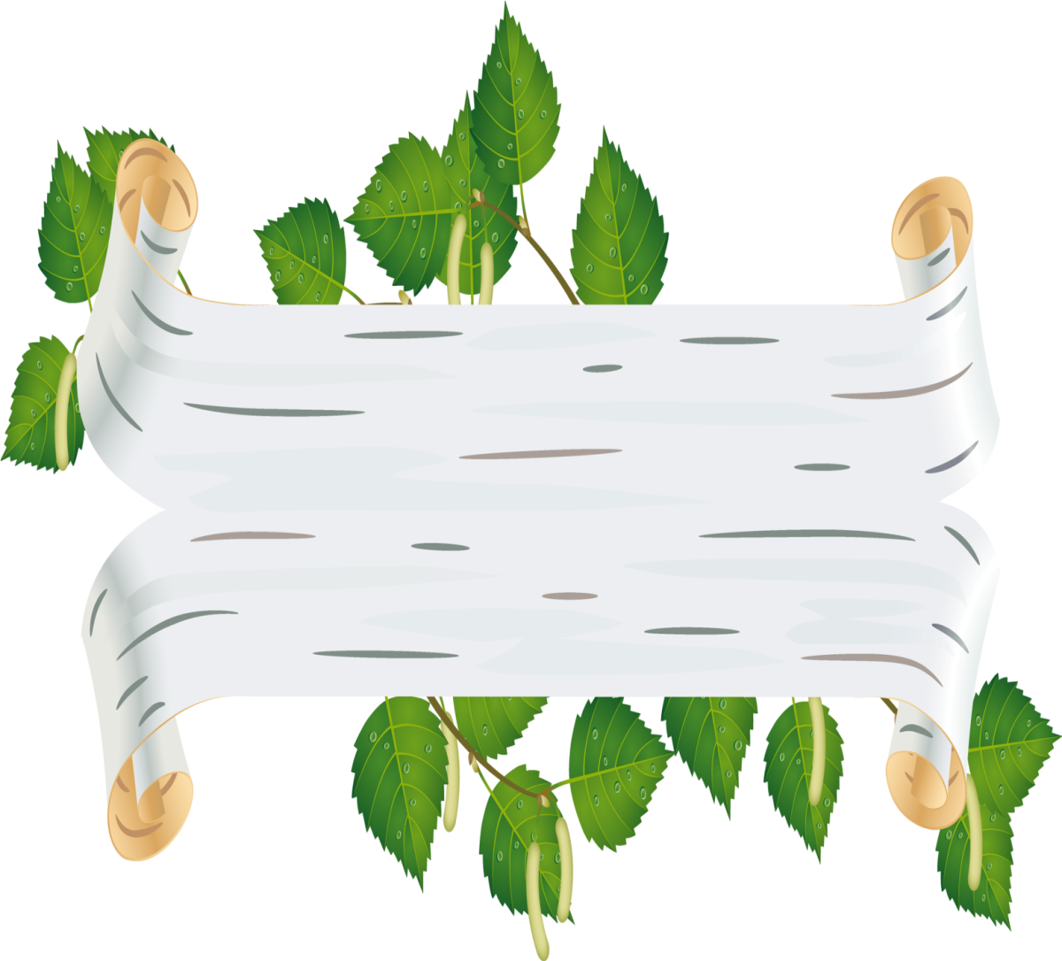 Береста фон