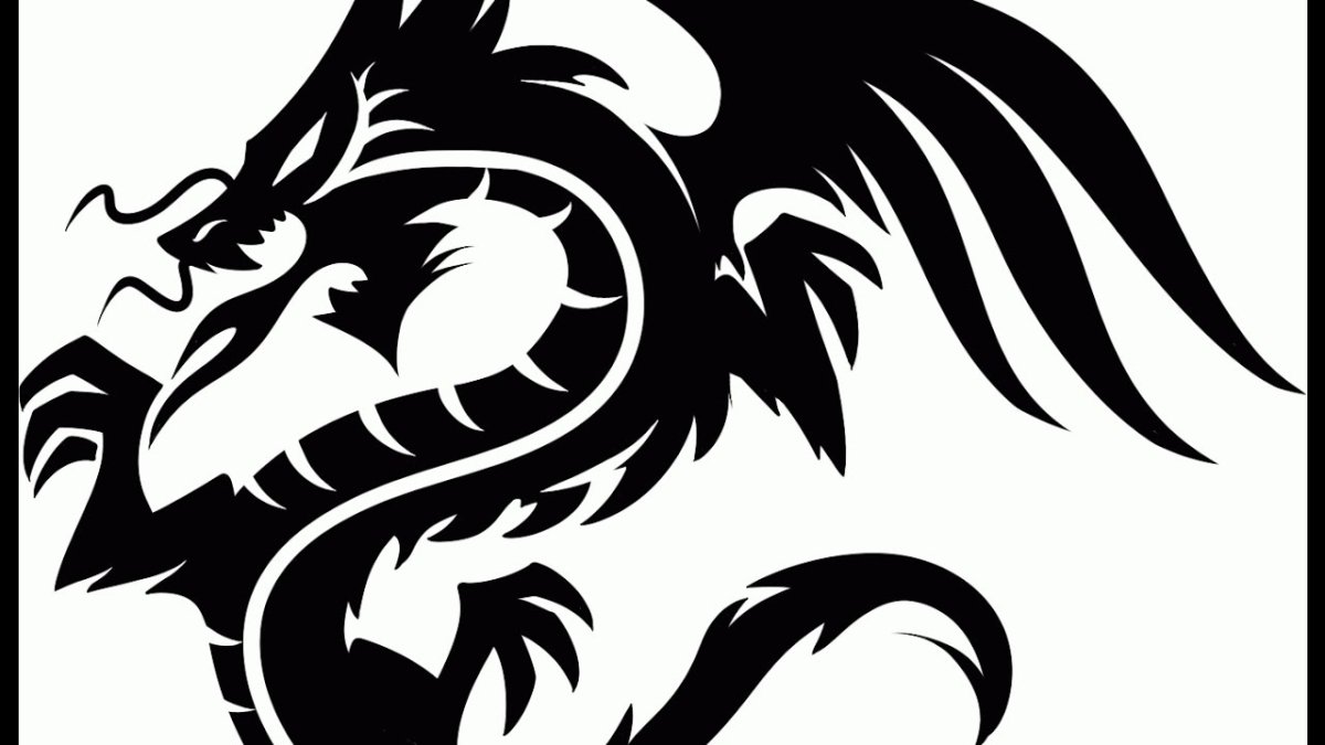 Дракон черно белый