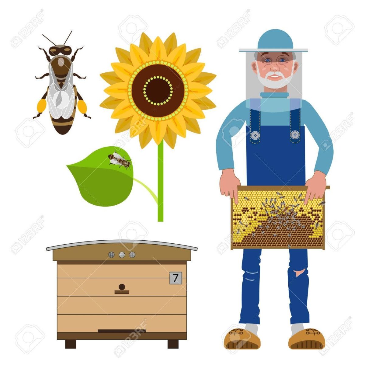 Пасечник пчеловод