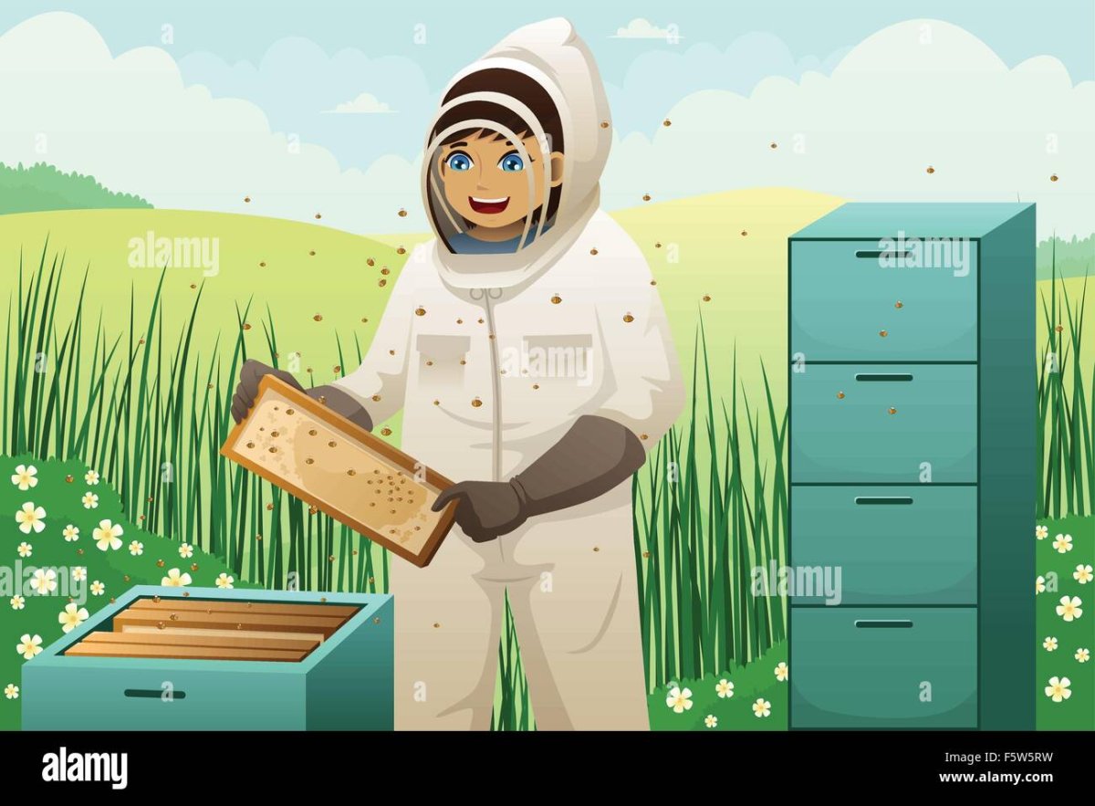 Пчеловод рисунок