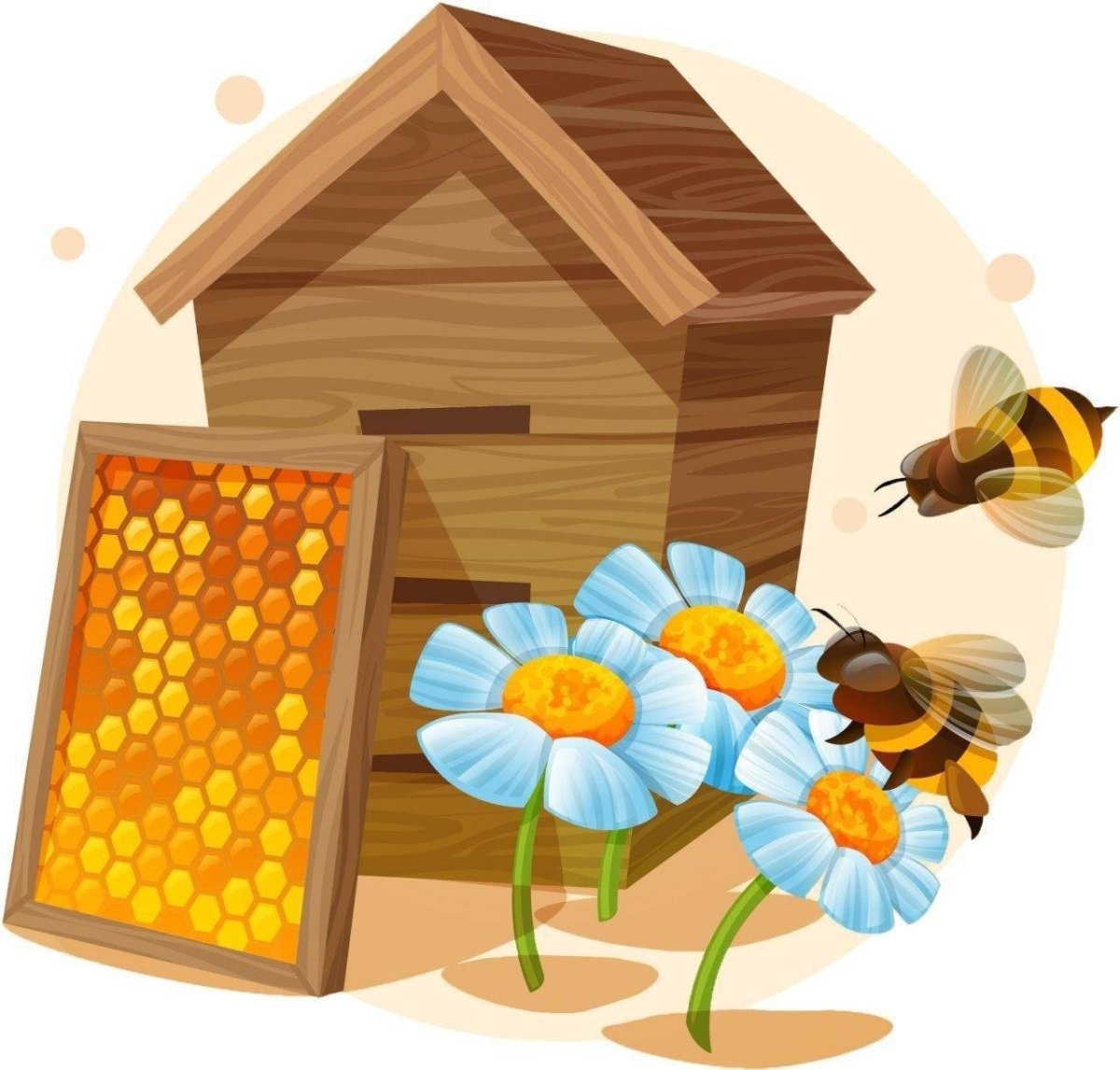 Улей домик для пчел