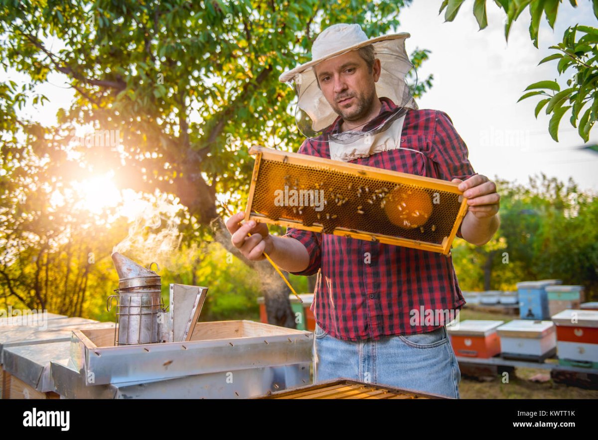 Сериал про пацана пчеловода