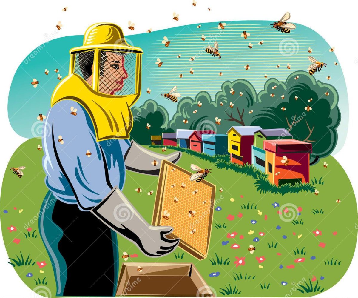 Пасека рисунок