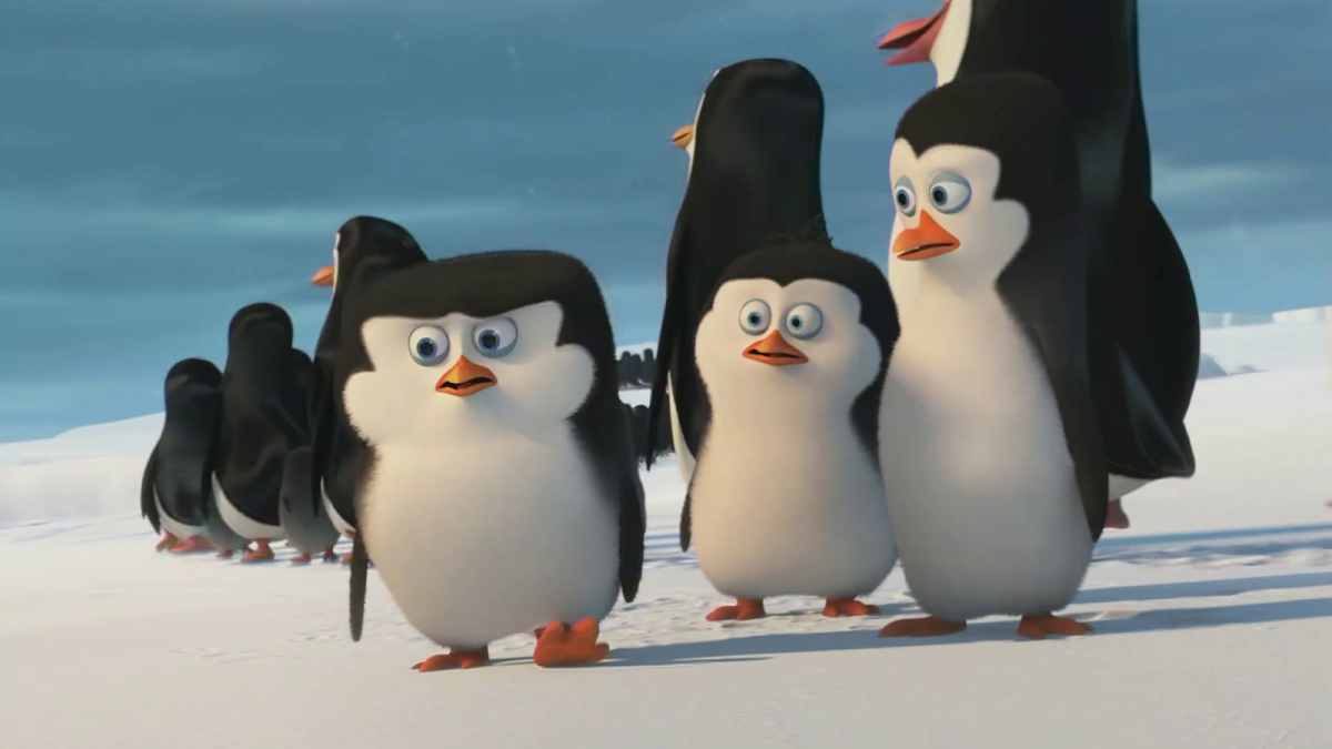 Пингвины это ласточки которые ели после 18 00