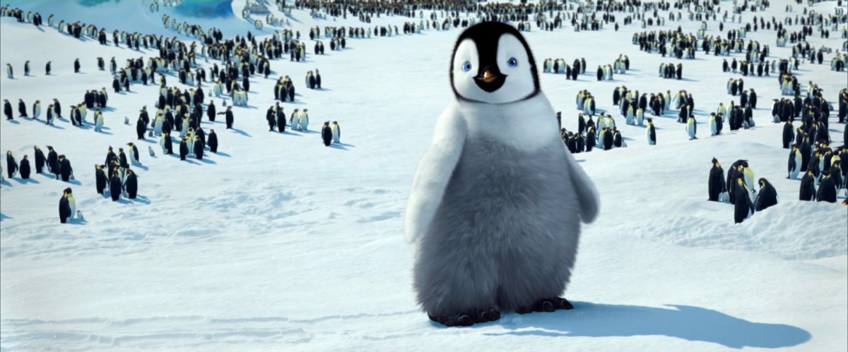 Маша и медведь 5 сезон большой поход