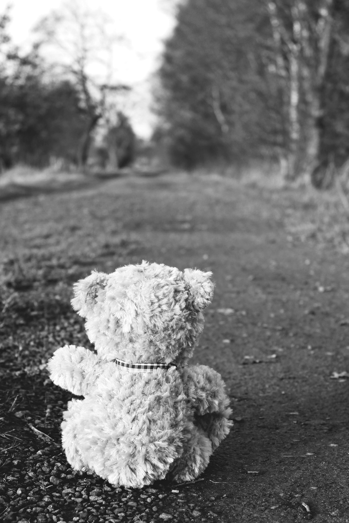 Плюшевый мишка обои