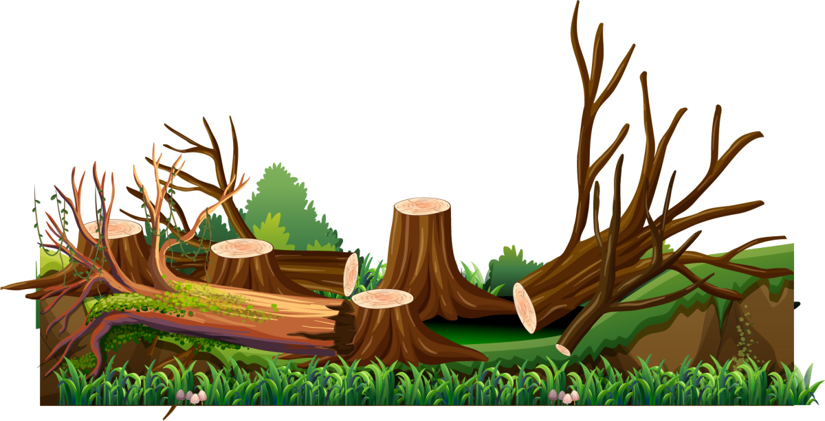 Вырубка леса для детей