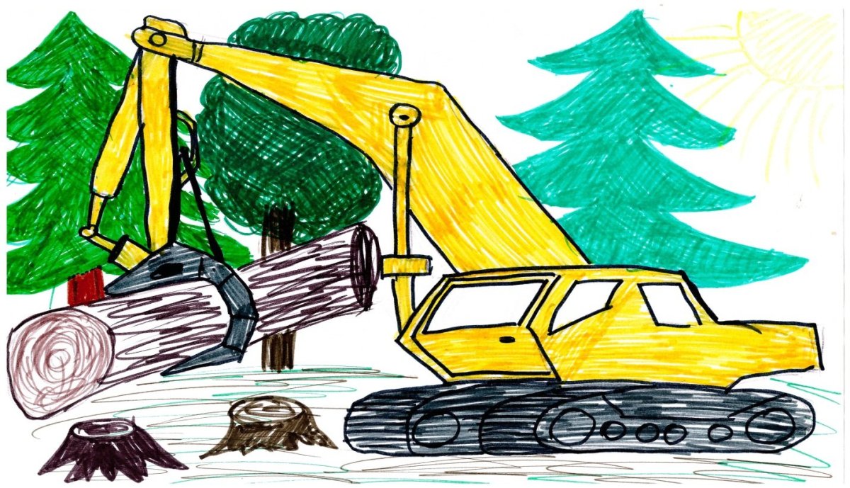 Знак не вырубать лес