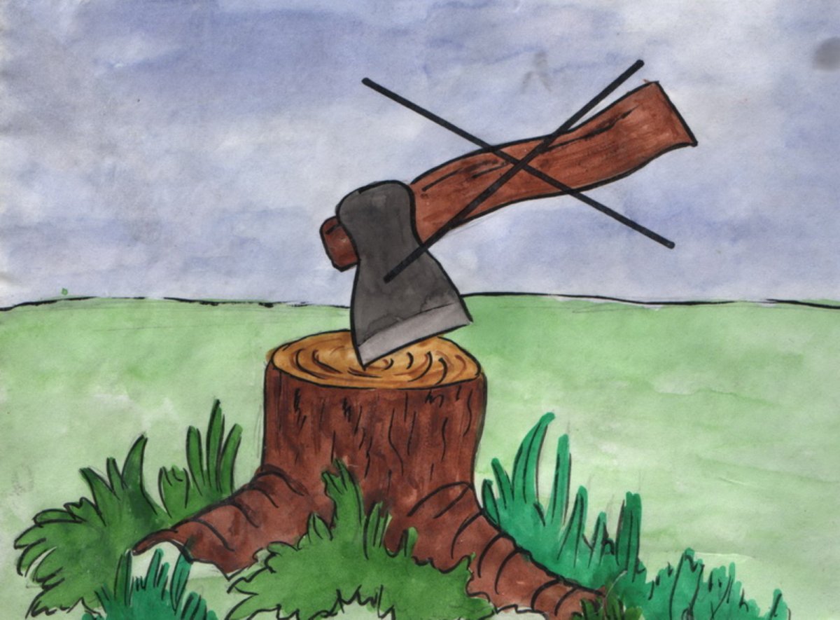 Леса в кружочке